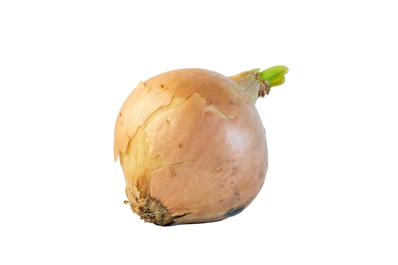 Healthy Onion Vegetable Free photo on Pixabay Pixabay