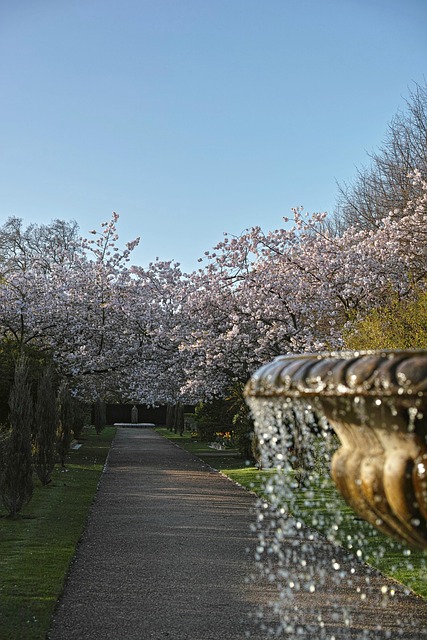 Free Spring Park photo and picture