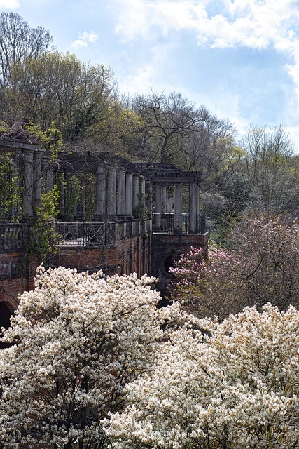 Free Park London photo and picture