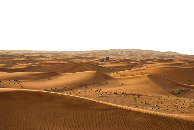 Free desert sand dunes illustration