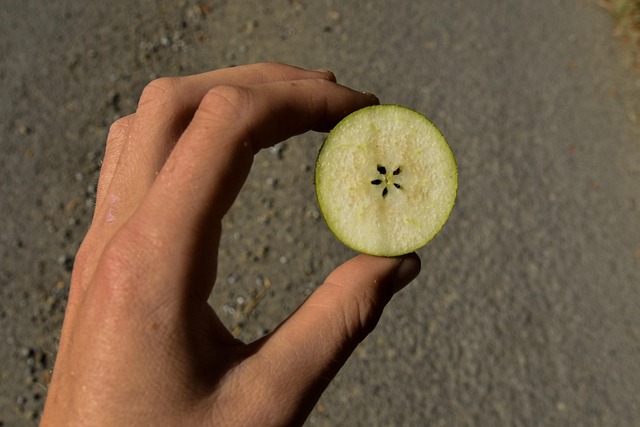 Free Apple Fruit photo and picture