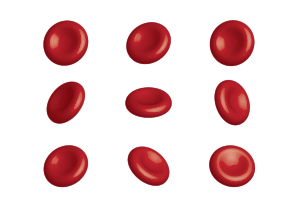 Rbc Blood Anemia Free Image On Pixabay rbc-blood-anemia-free-image-on-pixabay