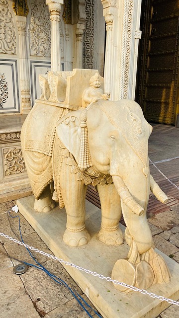 Elefante, Jaipur, Rajasthan, Cidade