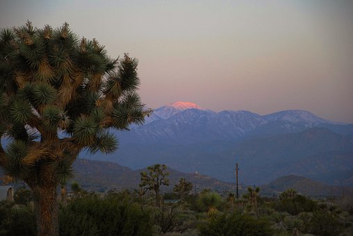 Free Sunrise Mountain photo and picture