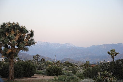 Free Sunset Sunrise photo and picture