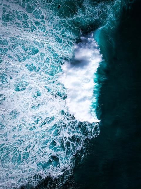 Free Wave Sea photo and picture