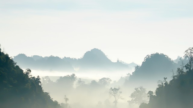 Free Fog Dew photo and picture