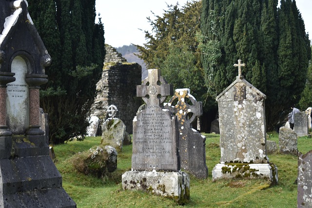 Free Ireland Wicklow photo and picture