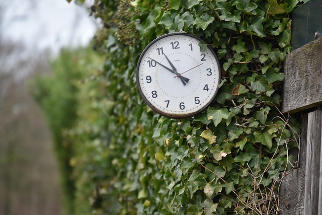 Free Clock Netherlands photo and picture