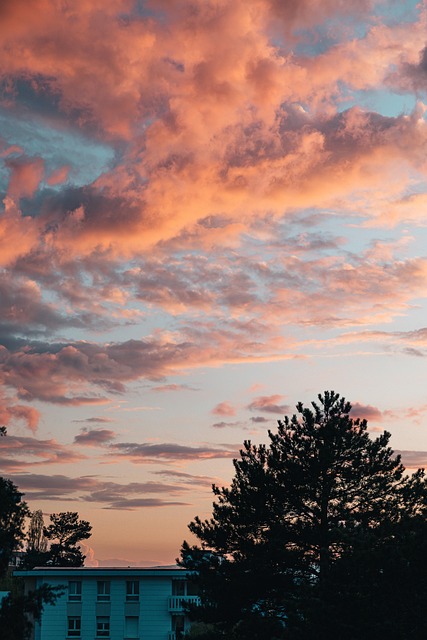 Free Sunset Sun photo and picture