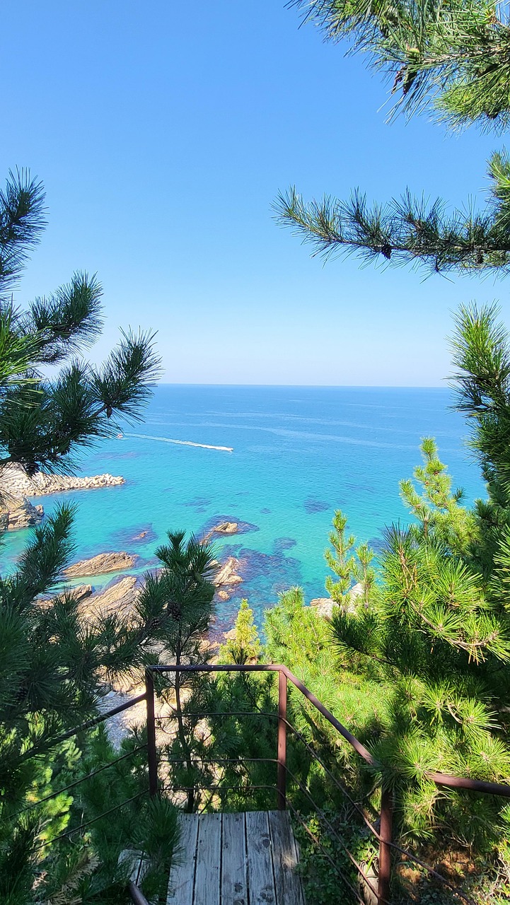 Valtameri Gangwon Do Dongjin Jeong - Ilmainen valokuva Pixabayssa - Pixabay