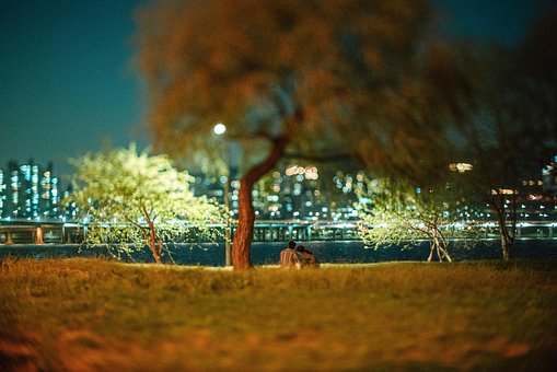 Free Republic Of Korea Seoul photo and picture