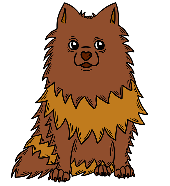 Free pomeranian pet dog illustration