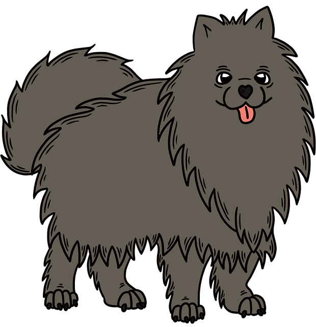 Free pomeranian pet dog illustration