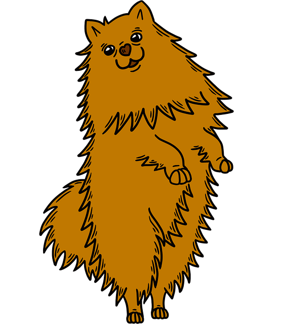 Free pomeranian pet dog illustration