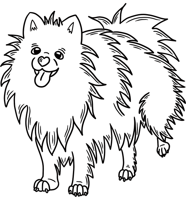 Free pomeranian pet dog illustration