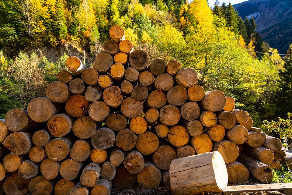 Trees Logs Wood Free photo on Pixabay Pixabay