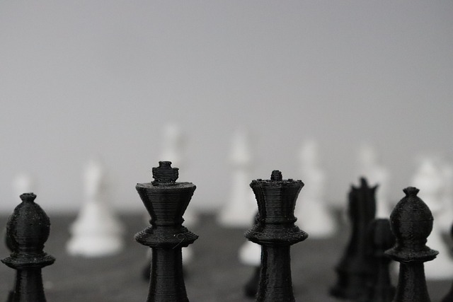 Free Chess King photo and picture