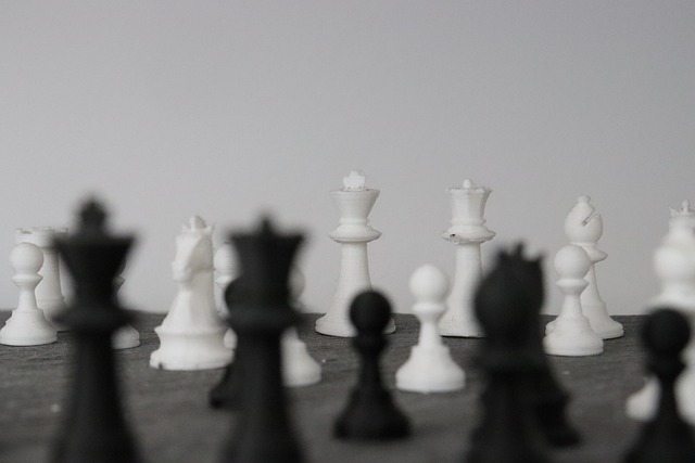 Free Chess Lady photo and picture
