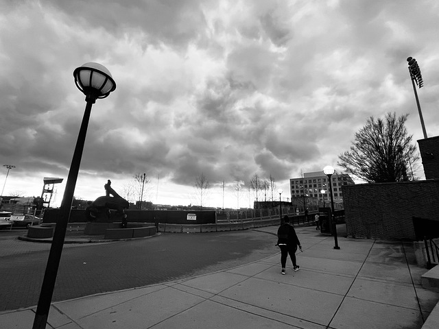 Free Street Road photo and picture
