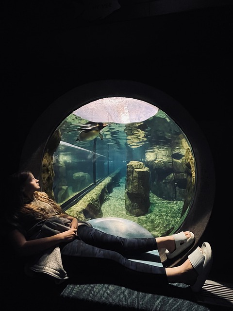 Free Girl Aquarium photo and picture