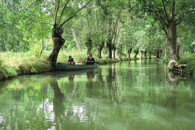 Močiar, Príroda, Charente, Barque