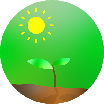 Plantação De Árvores, Dia Da Terra