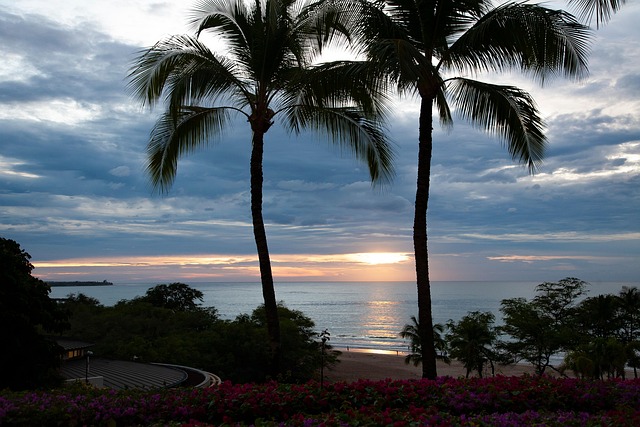 Free Hawaii Sunset photo and picture