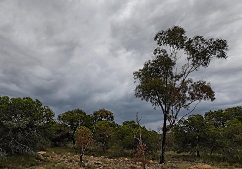 Free Paisaje Bosque photo and picture