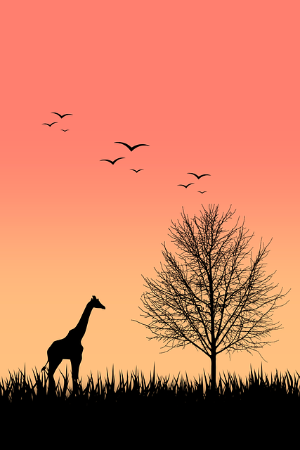 Boom, Gras, Giraffe, Vogels, Bladeren