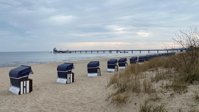 Free Beach Pier photo and picture