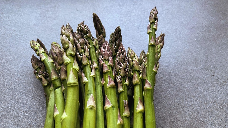Asparagus Eaten Healthy Free photo on Pixabay