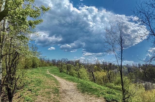 Free Spring Nature photo and picture
