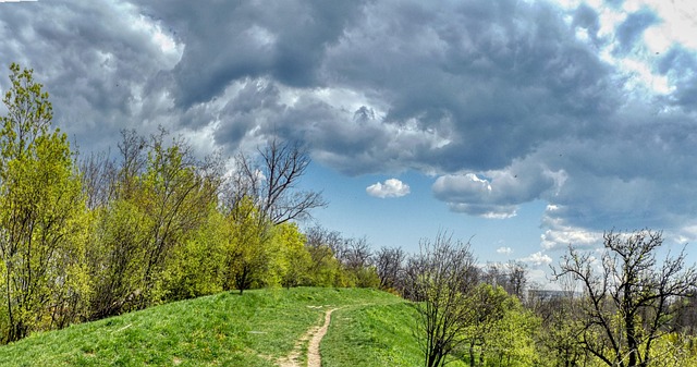 Free Nature The Park photo and picture