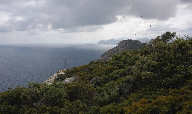Free Sea Coast photo and picture