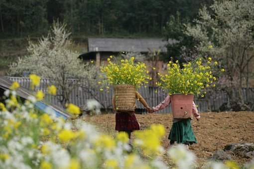 Berg, Kinder, Pfirsichblüte
