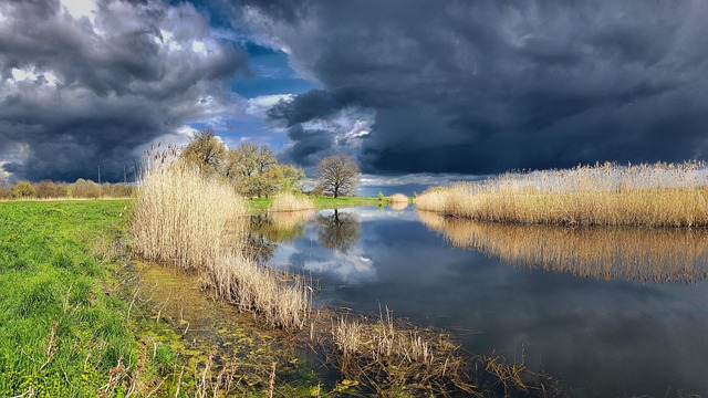 Free River Nature photo and picture