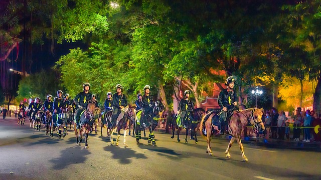 Policía Vietnamita A Caballo