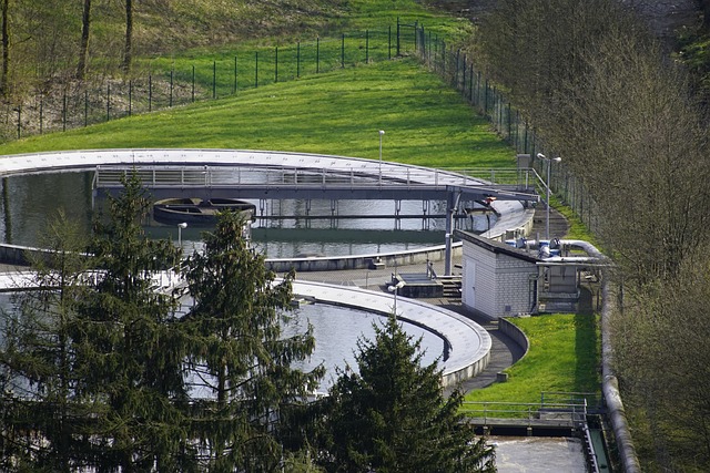 sewage, wastewater, purification plant, water cleaning, sewage treatment, plant, sewage, sewage, sewage, sewage, wastewater, wastewater, wastewater, wastewater, wastewater, sewage treatment