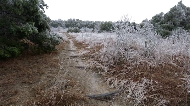 Free Frozen Wasteland photo and picture
