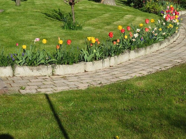 Free Flowers Spring photo and picture