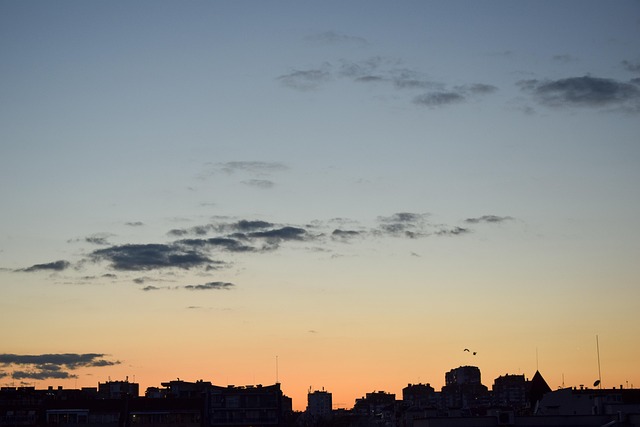 Free Eve City photo and picture