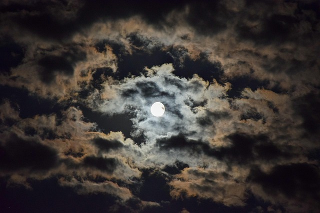Free Night Moon photo and picture