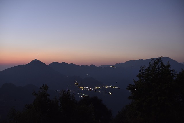 Free Sunset Wild photo and picture