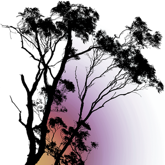 Free Tree Silhouette illustration and picture