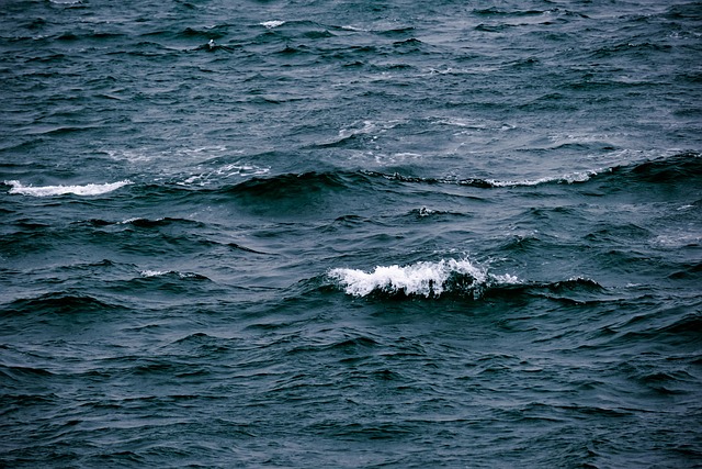 Free Waves Sea photo and picture