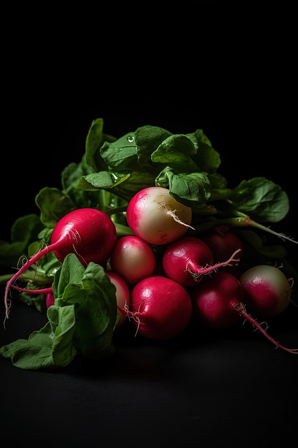 Download free HD stock image of Vegetables Radish Free vegetables radish vitamins illustration