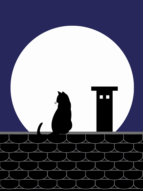 Download free HD stock image of Cat Animal Free cat animal pet illustration
