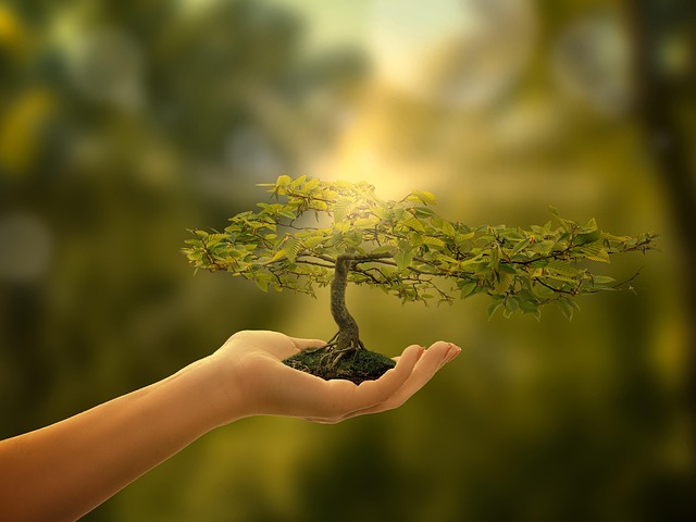 Free Hand Environment photo and picture