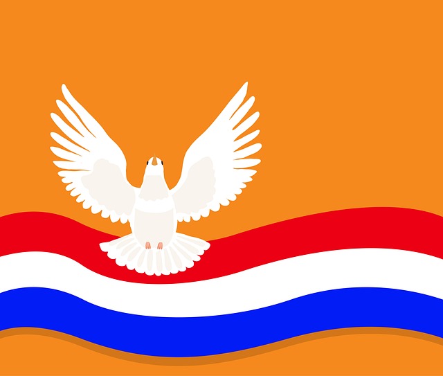 Meer Dan 10 Gratis Afbeeldingen Van Bevrijdingsdag En Vrijheid Pixabay meer-dan-10-gratis-afbeeldingen-van-bevrijdingsdag-en-vrijheid-pixabay